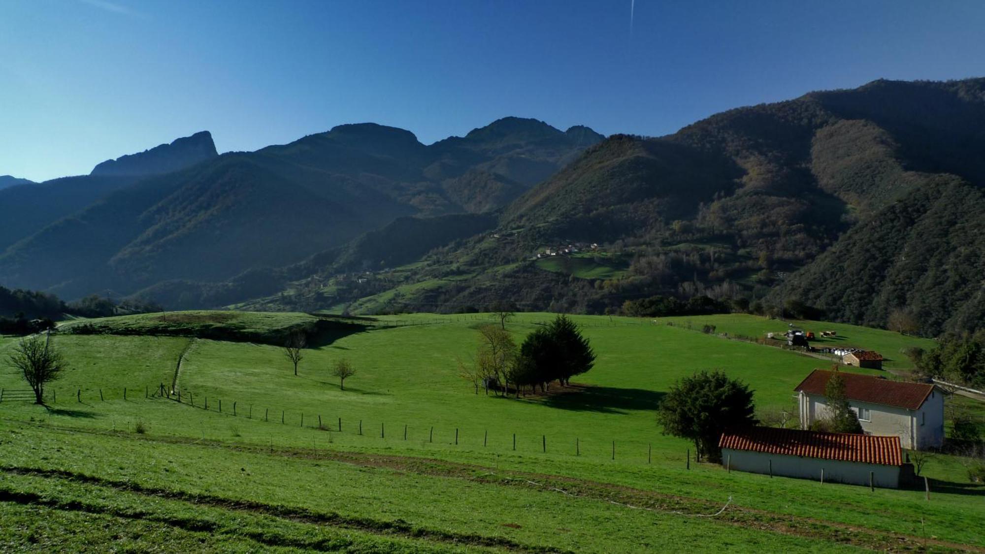 Posada Valle Del Oso Lerones ภายนอก รูปภาพ